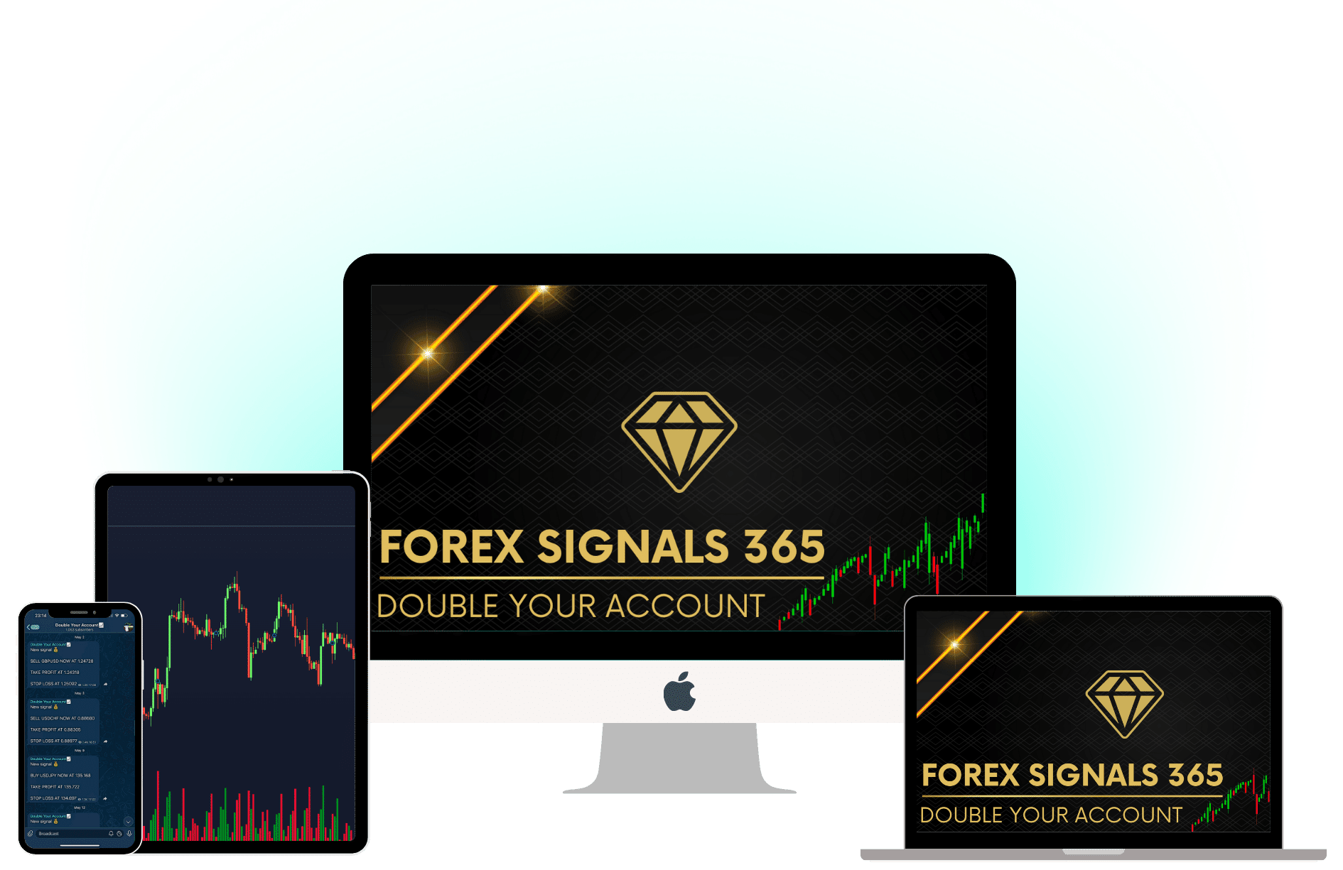 pay now forex signals 365 double account forexsignals365.com