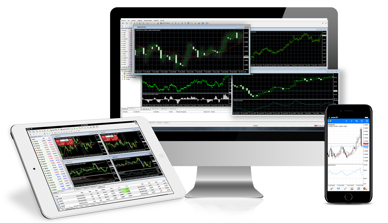 forex trading signals 