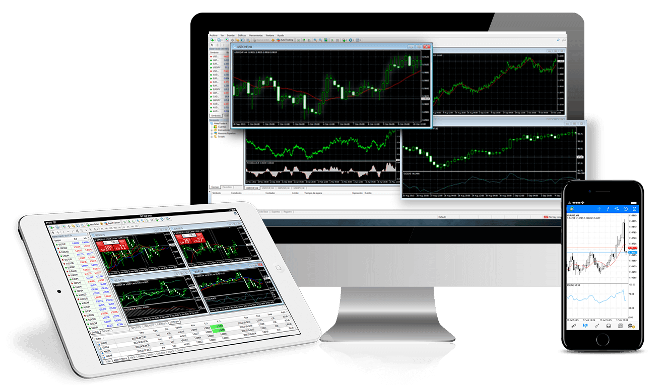 forex trading signals 